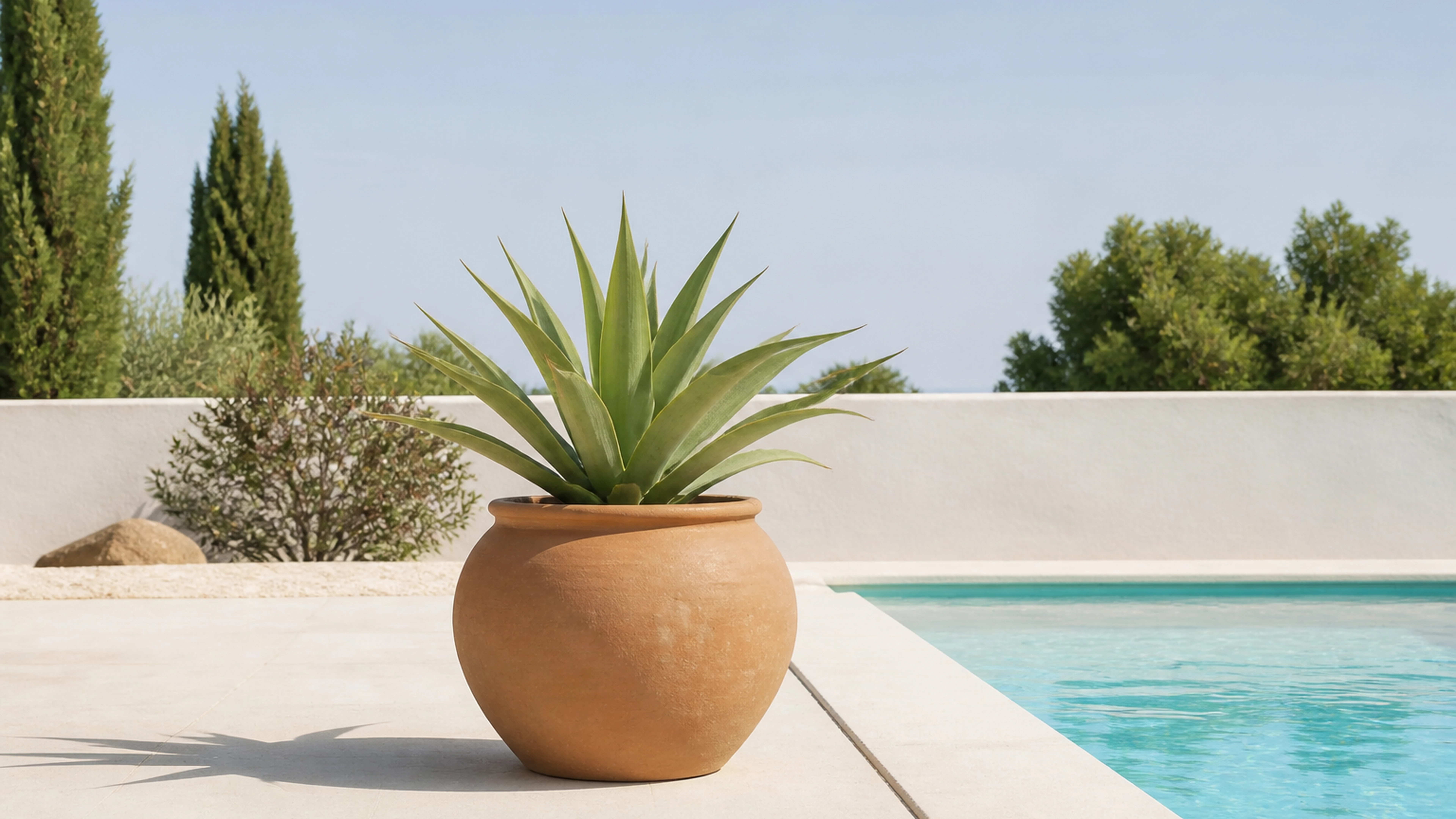 Illustration éditoriale pour l’article « Quelle plante en pot choisir pour votre bord de piscine »